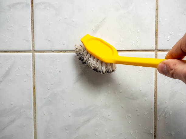 Best Professional Mold Removal  in Green Level, NC