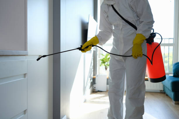 Best Commercial Mold Removal  in Green Level, NC