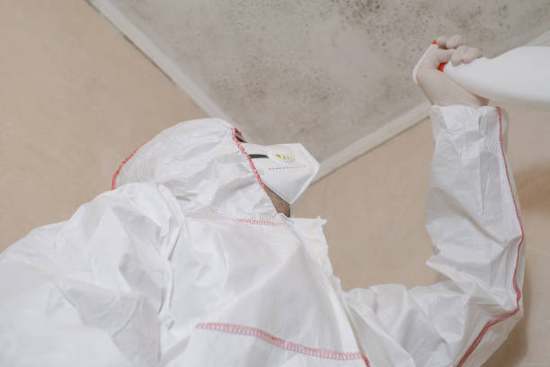 Best Mold Testing  in Green Level, NC